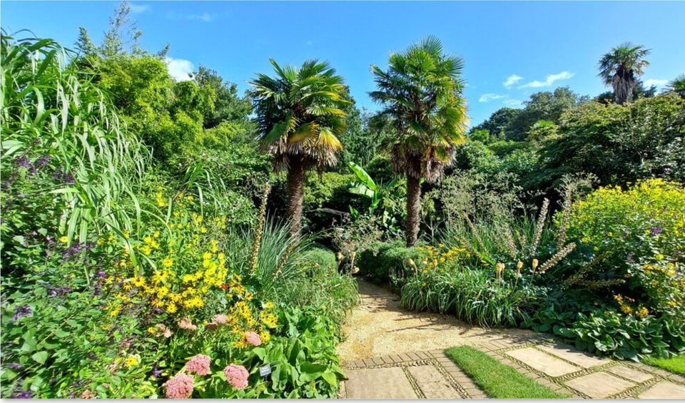 Subtropical Gardens