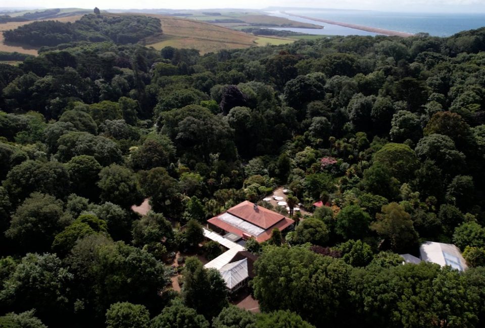 Abbotsbury Subtropical Gardens