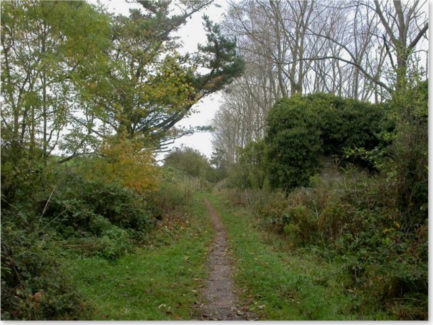 The old railway trackbed