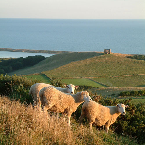 About Gorwell Farm Holiday Cottages - St Catherines Chapel