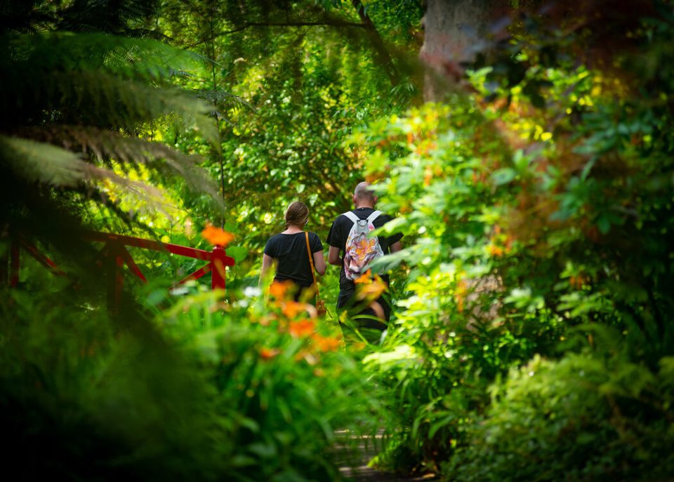 visitors exploring the subtropical gardens in summer