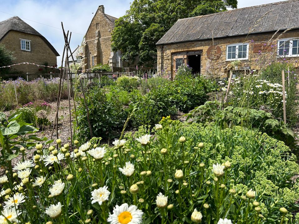 Abbey Farm Flowers