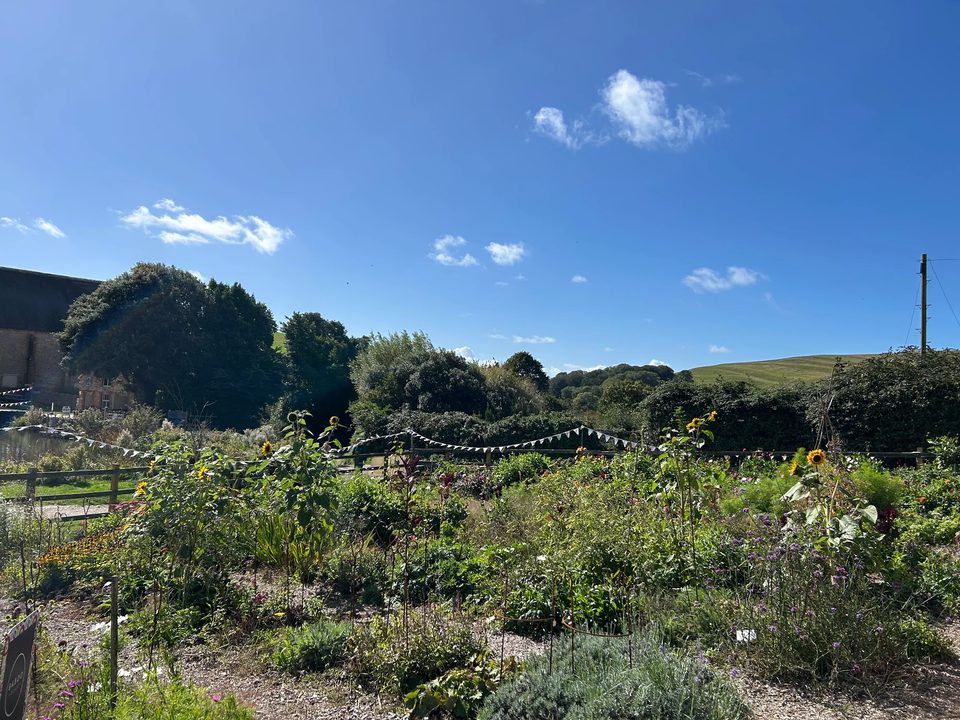 Abbey Farm Flowers