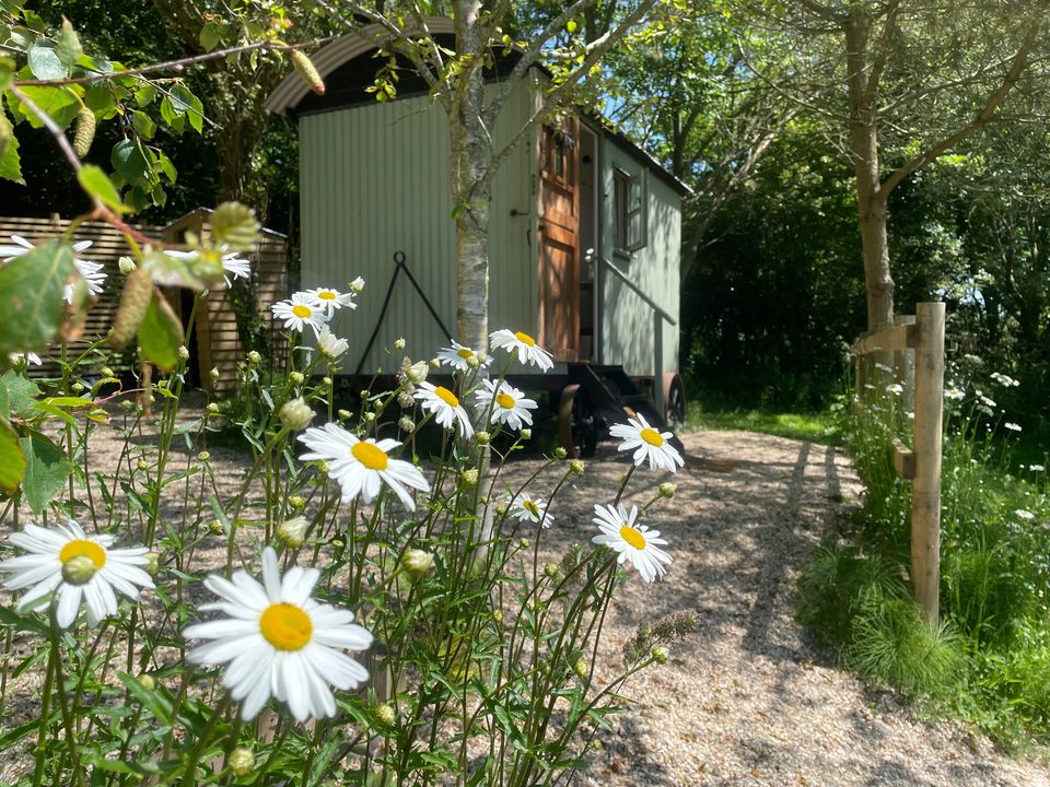 The Shepherds Hut at The Hide