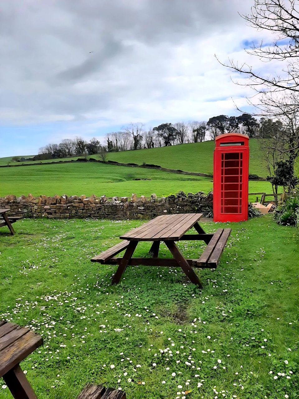 Swan Inn Abbotsbury beer garden with picnic benches, stone wall, red telephone box and Dorset countryside views